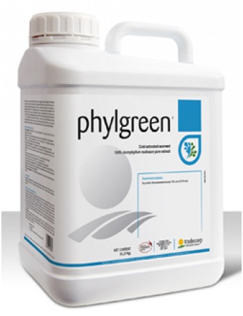 Phylgreen 100 ml